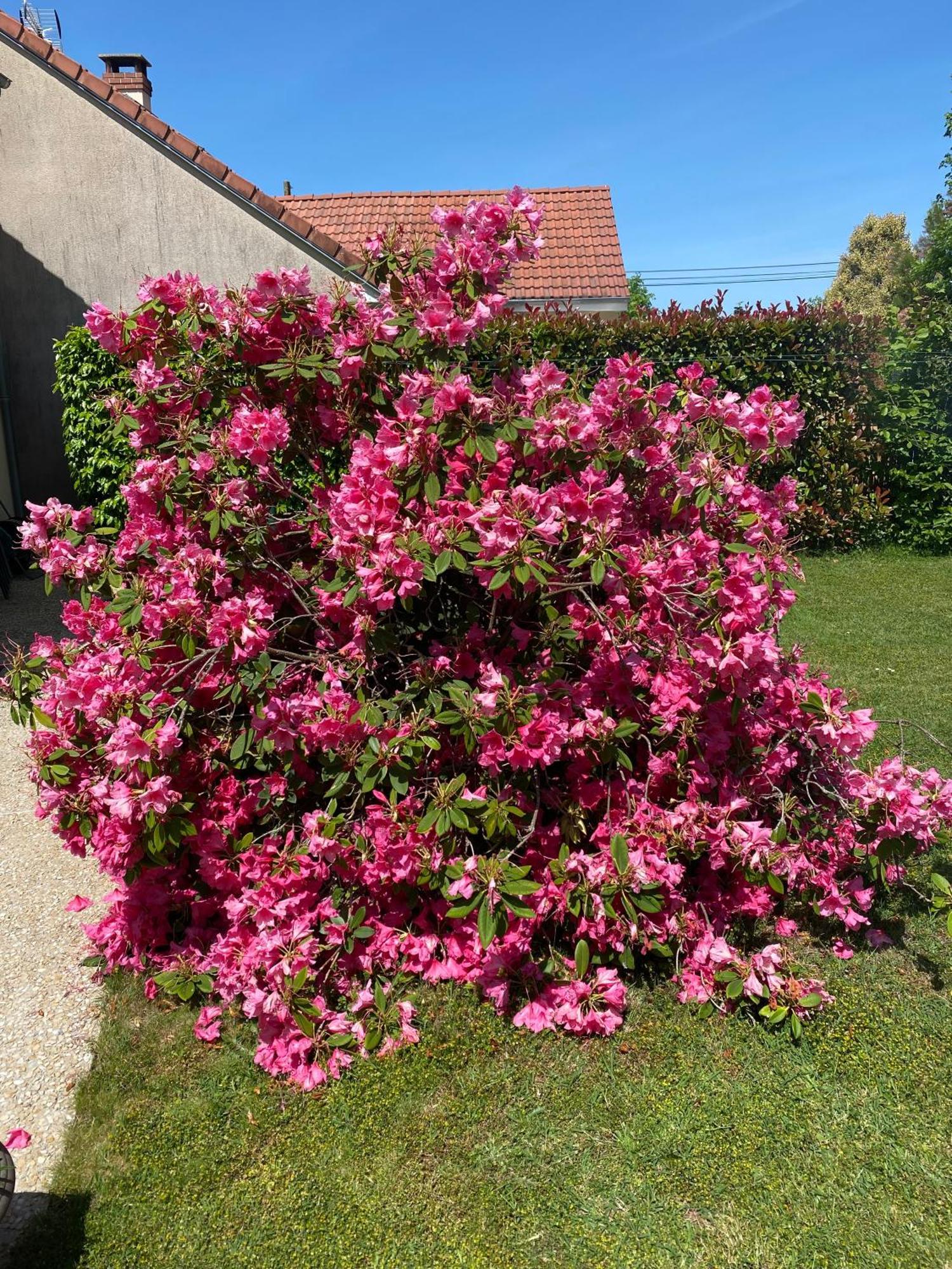 Bed and Breakfast Le Petitepinay Moitron-sur-Sarthe Esterno foto