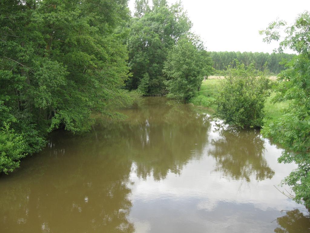 Bed and Breakfast Le Petitepinay Moitron-sur-Sarthe Esterno foto